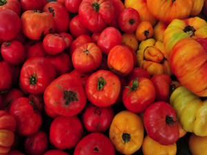 healy_tomato